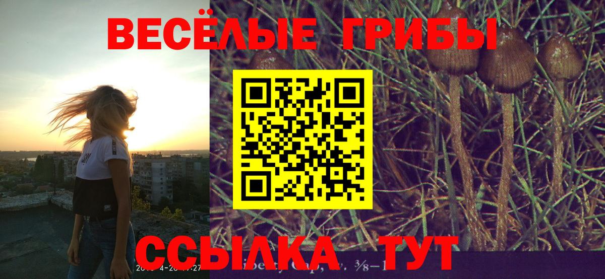 как найти   Галлюциногенные грибы ЛСД  Вход с VPN  Ханты-Мансийск 