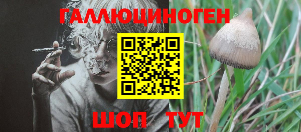 Галлюциногенные грибы прущие грибы Ханты-Мансийск